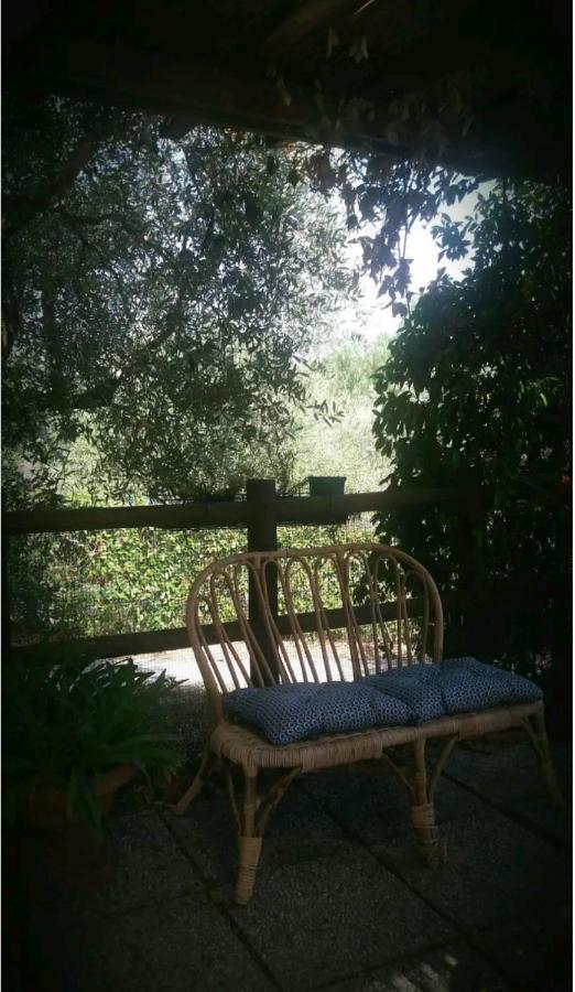 Casa Gelsomino Appartement Scandicci Buitenkant foto